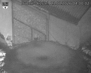 Capi_Dubne_20260113_040002.jpg (1350&nbsp;x&nbsp;1080)