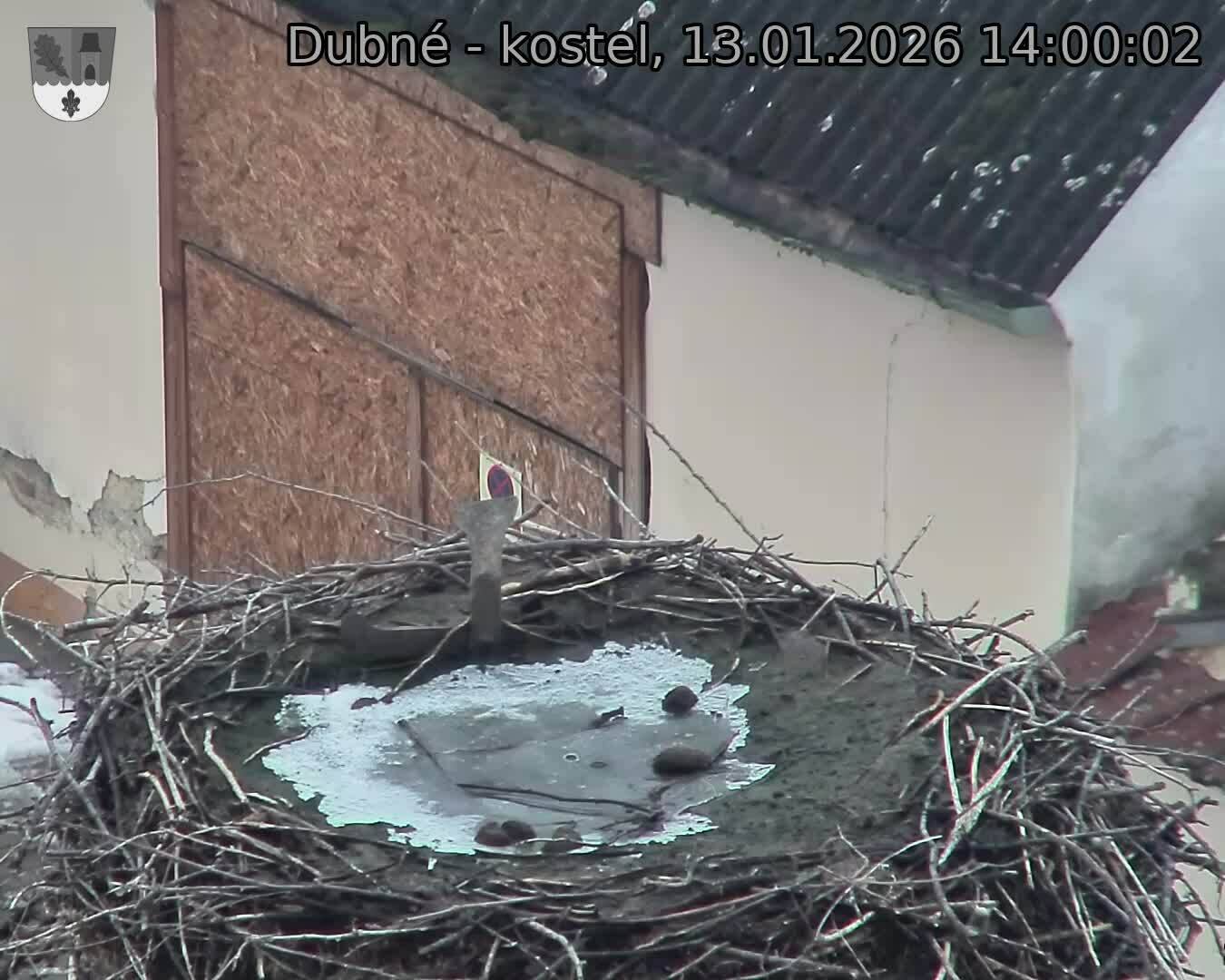 Capi_Dubne_20260113_140002.jpg (1350&nbsp;x&nbsp;1080)