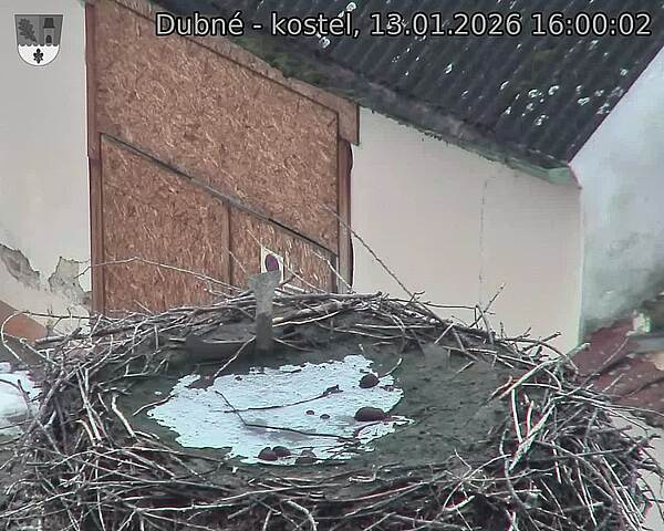 Capi_Dubne_20260113_160002.jpg (1350&nbsp;x&nbsp;1080)