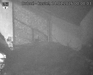 Capi_Dubne_20260114_000003.jpg (1350&nbsp;x&nbsp;1080)