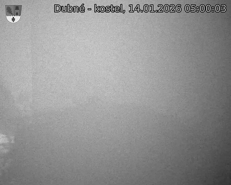 Capi_Dubne_20260114_050003.jpg (1350&nbsp;x&nbsp;1080)