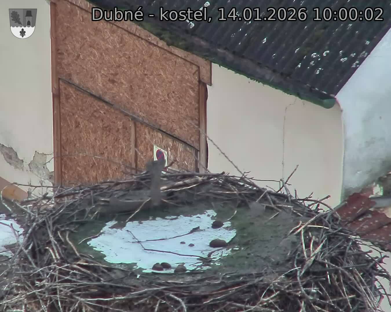 Capi_Dubne_20260114_100002.jpg (1350&nbsp;x&nbsp;1080)
