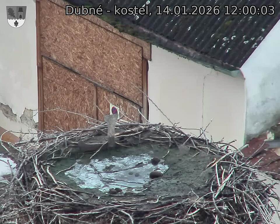 Capi_Dubne_20260114_120003.jpg (1350&nbsp;x&nbsp;1080)
