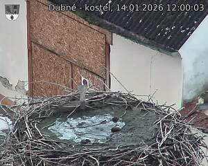 Capi_Dubne_20260114_120003.jpg (1350&nbsp;x&nbsp;1080)