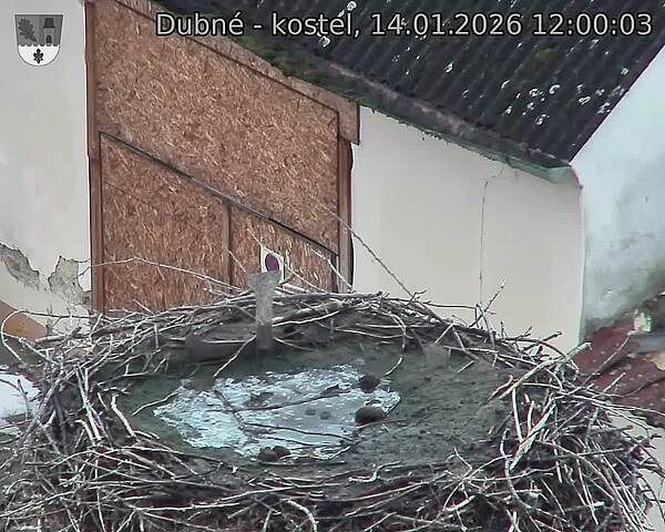 Capi_Dubne_20260114_120003.jpg (1350&nbsp;x&nbsp;1080)