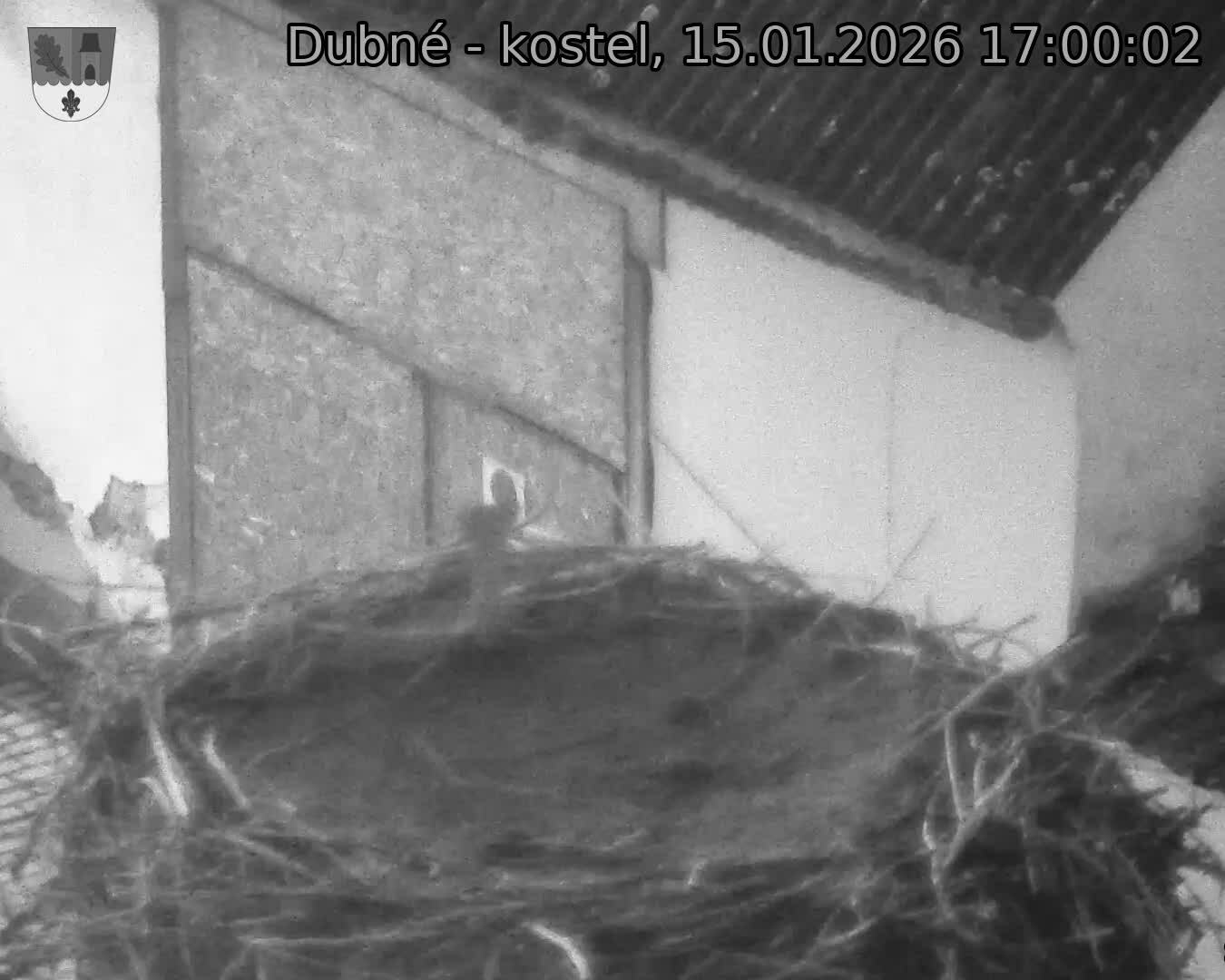 Capi_Dubne_20260115_170002.jpg (1350&nbsp;x&nbsp;1080)