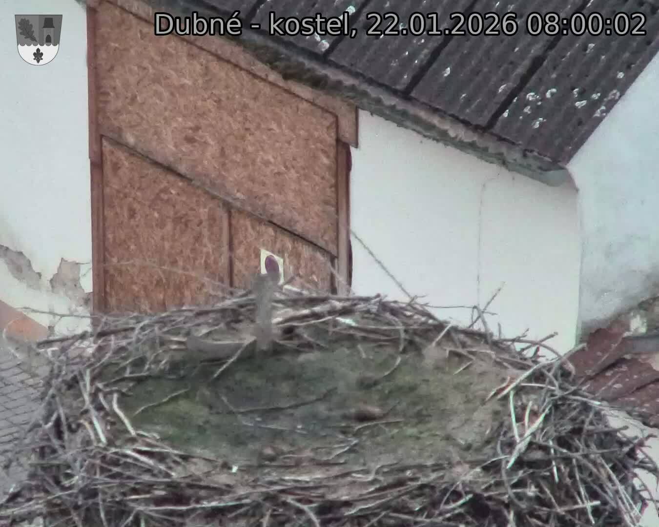 Capi_Dubne_20260122_080002.jpg (1350&nbsp;x&nbsp;1080)