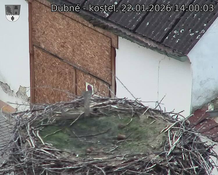 Capi_Dubne_20260122_140003.jpg (1350&nbsp;x&nbsp;1080)