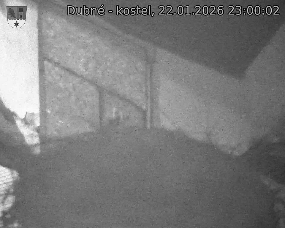 Capi_Dubne_20260122_230002.jpg (1350&nbsp;x&nbsp;1080)