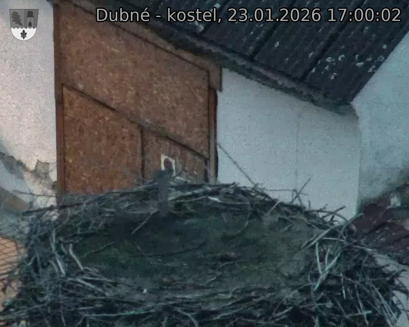 Capi_Dubne_20260123_170002.jpg (1350&nbsp;x&nbsp;1080)