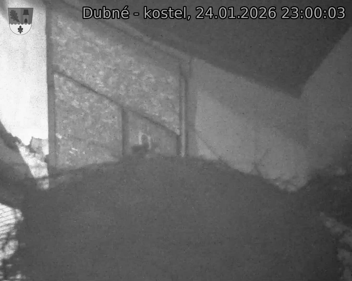 Capi_Dubne_20260124_230003.jpg (1350&nbsp;x&nbsp;1080)
