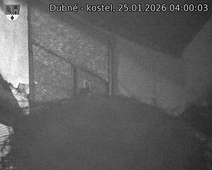 Capi_Dubne_20260125_040003.jpg (1350&nbsp;x&nbsp;1080)