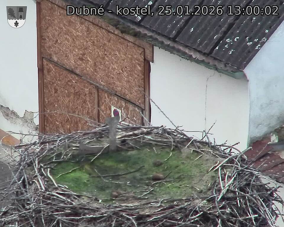 Capi_Dubne_20260125_130002.jpg (1350&nbsp;x&nbsp;1080)