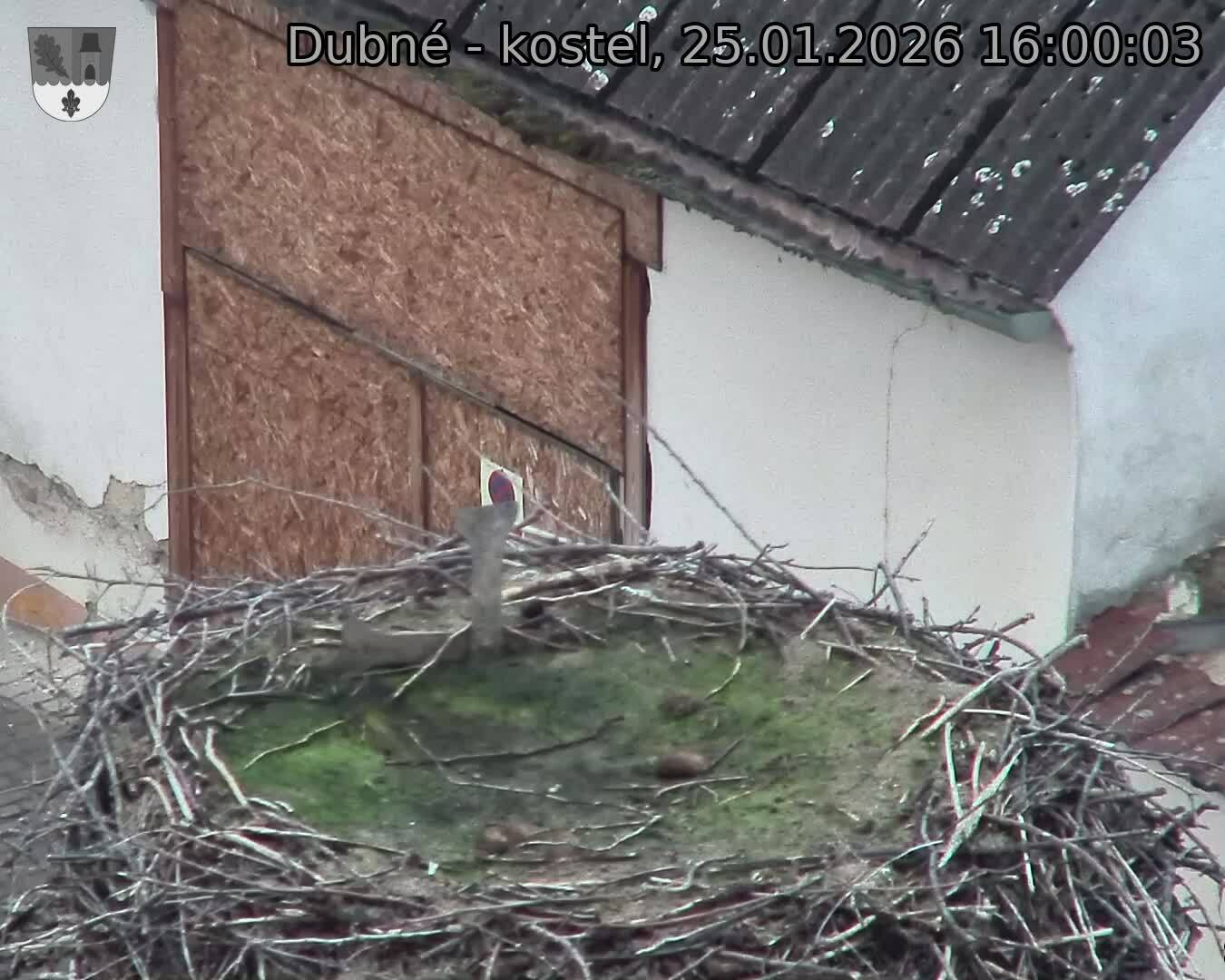 Capi_Dubne_20260125_160003.jpg (1350&nbsp;x&nbsp;1080)