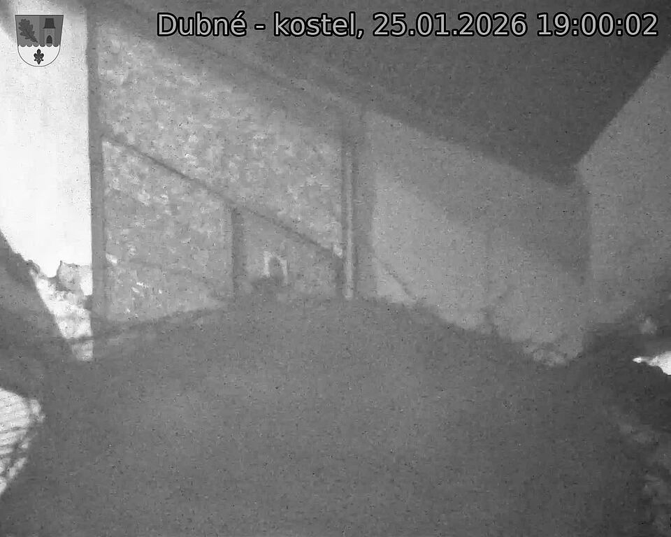 Capi_Dubne_20260125_190002.jpg (1350&nbsp;x&nbsp;1080)