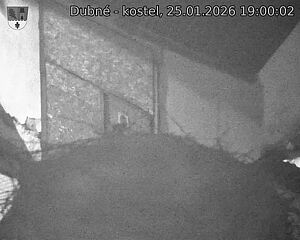 Capi_Dubne_20260125_190002.jpg (1350&nbsp;x&nbsp;1080)