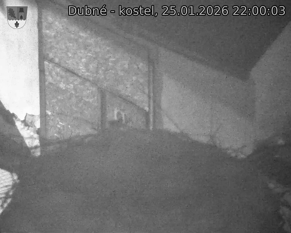 Capi_Dubne_20260125_220003.jpg (1350&nbsp;x&nbsp;1080)