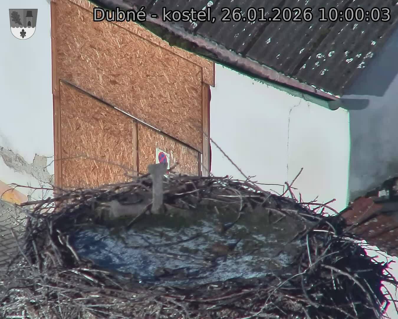 Capi_Dubne_20260126_100003.jpg (1350&nbsp;x&nbsp;1080)