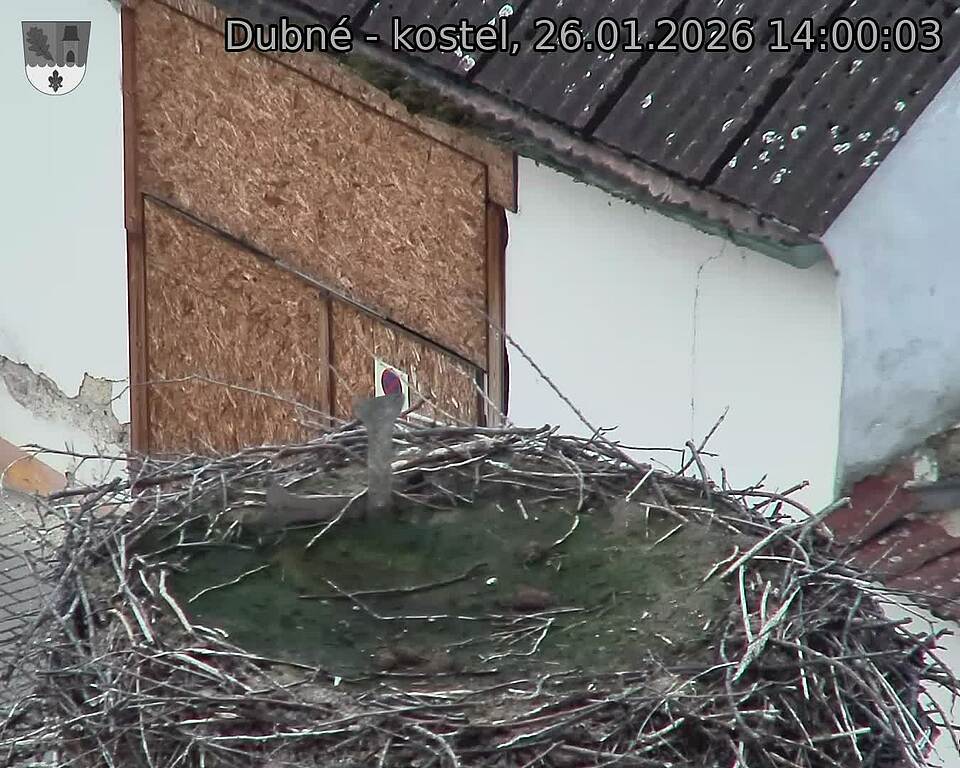 Capi_Dubne_20260126_140003.jpg (1350&nbsp;x&nbsp;1080)