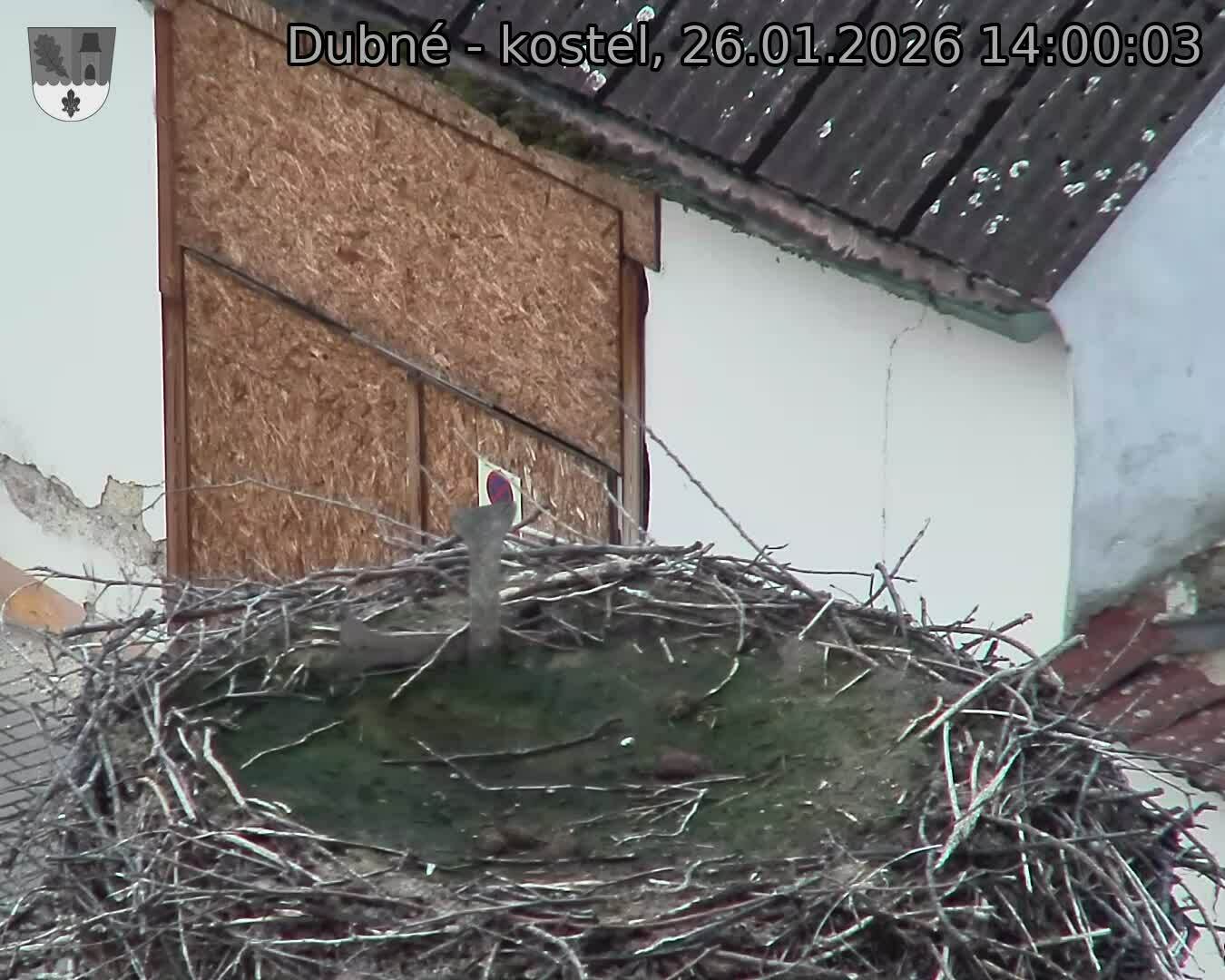 Capi_Dubne_20260126_140003.jpg (1350&nbsp;x&nbsp;1080)