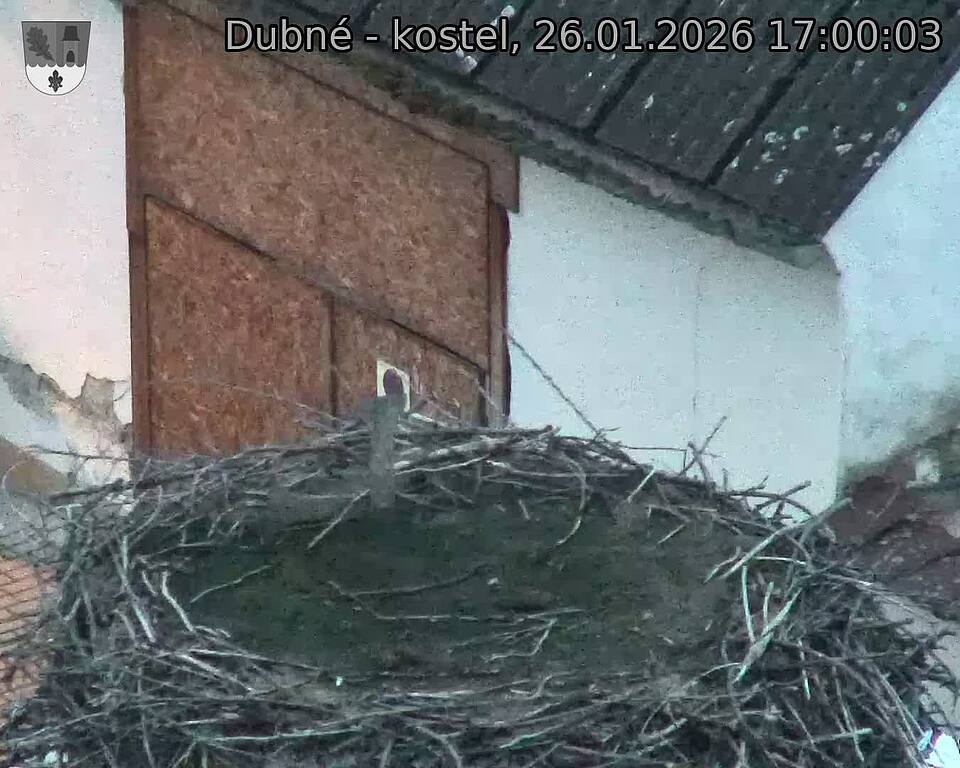 Capi_Dubne_20260126_170003.jpg (1350&nbsp;x&nbsp;1080)