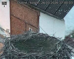 Capi_Dubne_20260126_170003.jpg (1350&nbsp;x&nbsp;1080)