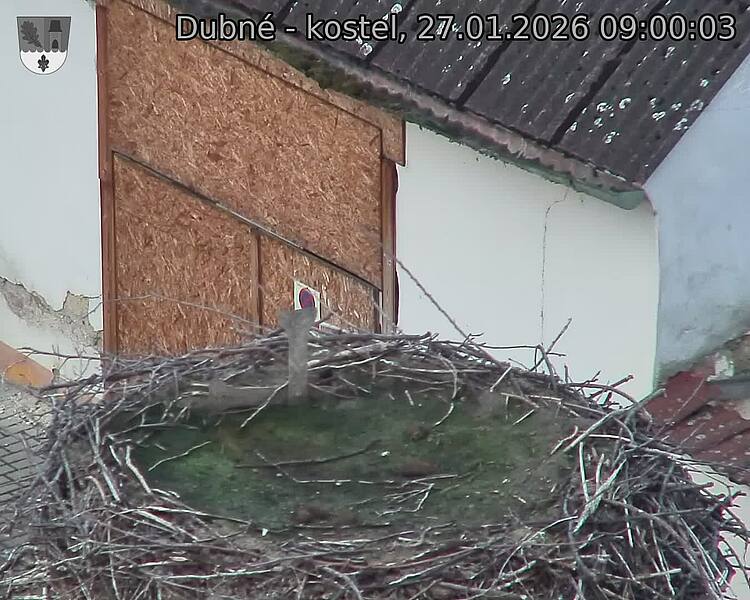 Capi_Dubne_20260127_090003.jpg (1350&nbsp;x&nbsp;1080)
