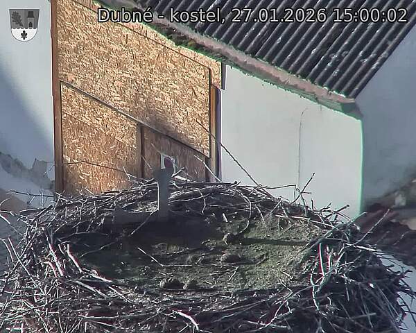 Capi_Dubne_20260127_150002.jpg (1350&nbsp;x&nbsp;1080)