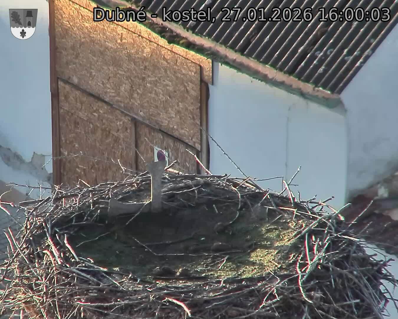 Capi_Dubne_20260127_160003.jpg (1350&nbsp;x&nbsp;1080)