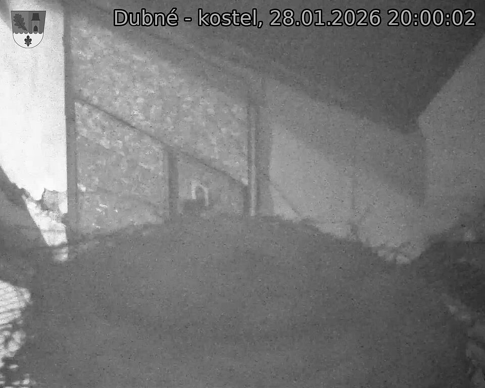 Capi_Dubne_20260128_200002.jpg (1350&nbsp;x&nbsp;1080)