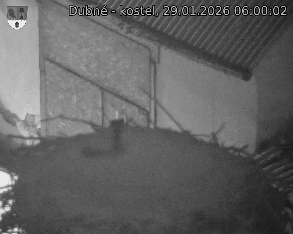 Capi_Dubne_20260129_060002.jpg (1350&nbsp;x&nbsp;1080)
