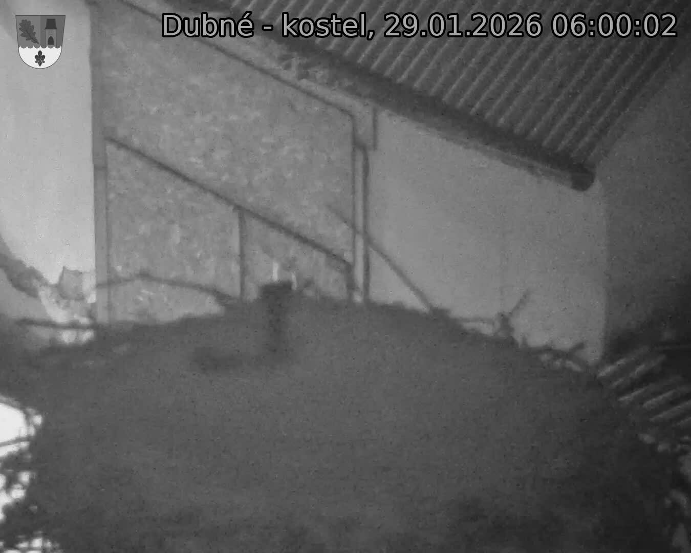 Capi_Dubne_20260129_060002.jpg (1350&nbsp;x&nbsp;1080)