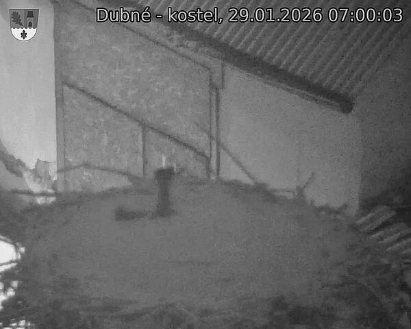 Capi_Dubne_20260129_070003.jpg (1350&nbsp;x&nbsp;1080)