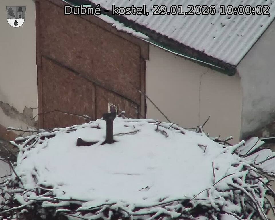 Capi_Dubne_20260129_100002.jpg (1350&nbsp;x&nbsp;1080)