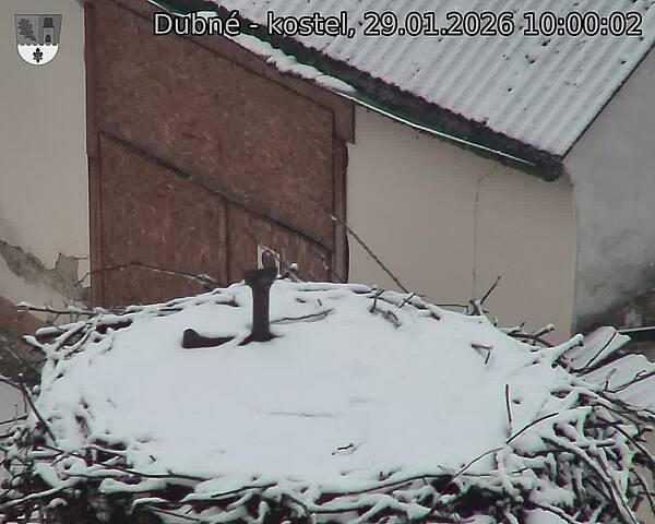Capi_Dubne_20260129_100002.jpg (1350&nbsp;x&nbsp;1080)