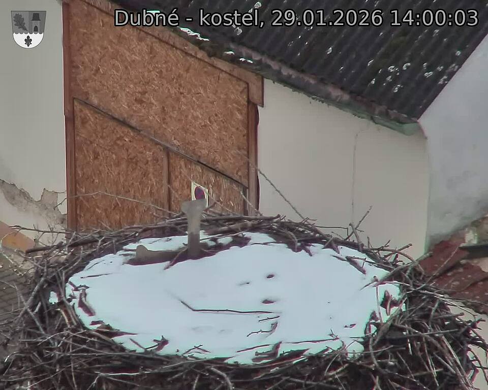 Capi_Dubne_20260129_140003.jpg (1350&nbsp;x&nbsp;1080)