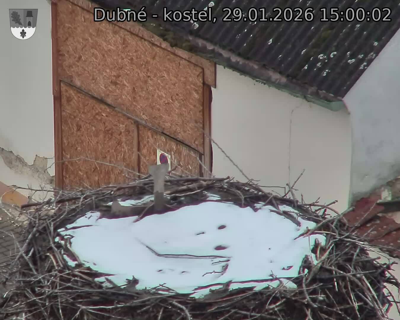 Capi_Dubne_20260129_150002.jpg (1350&nbsp;x&nbsp;1080)