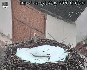 Capi_Dubne_20260129_170002.jpg (1350&nbsp;x&nbsp;1080)