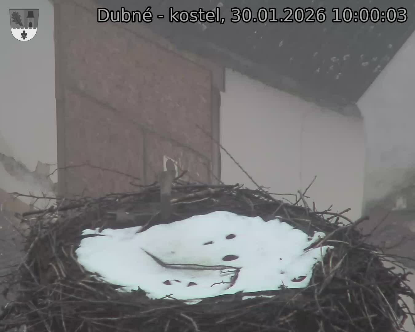 Capi_Dubne_20260130_100003.jpg (1350&nbsp;x&nbsp;1080)