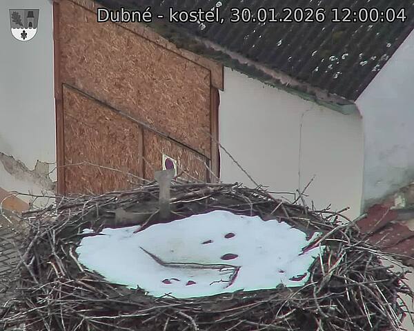 Capi_Dubne_20260130_120004.jpg (1350&nbsp;x&nbsp;1080)