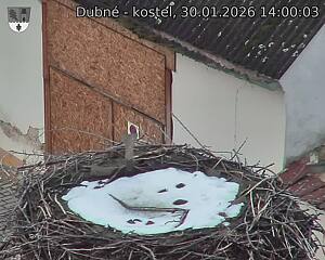 Capi_Dubne_20260130_140003.jpg (1350&nbsp;x&nbsp;1080)