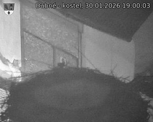 Capi_Dubne_20260130_190003.jpg (1350&nbsp;x&nbsp;1080)