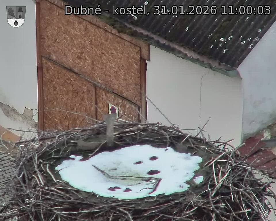 Capi_Dubne_20260131_110003.jpg (1350&nbsp;x&nbsp;1080)