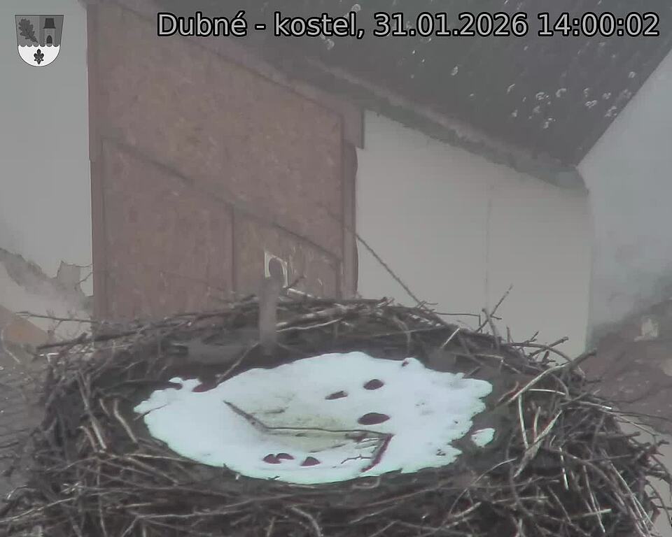 Capi_Dubne_20260131_140002.jpg (1350&nbsp;x&nbsp;1080)