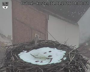 Capi_Dubne_20260131_140002.jpg (1350&nbsp;x&nbsp;1080)