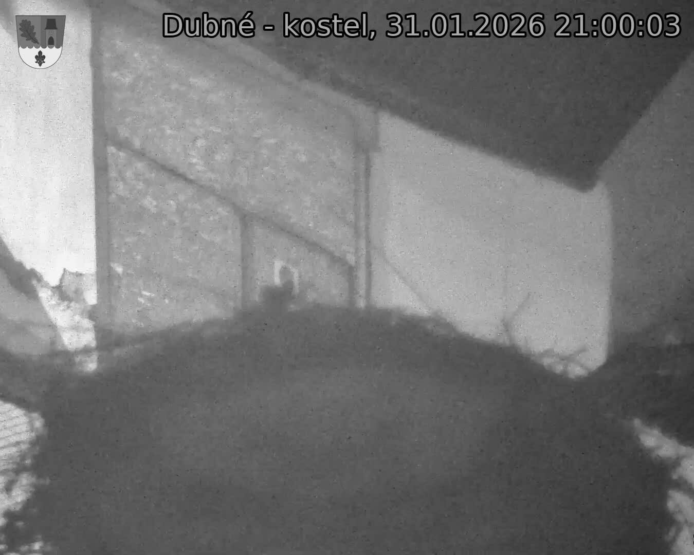 Capi_Dubne_20260131_210003.jpg (1350&nbsp;x&nbsp;1080)
