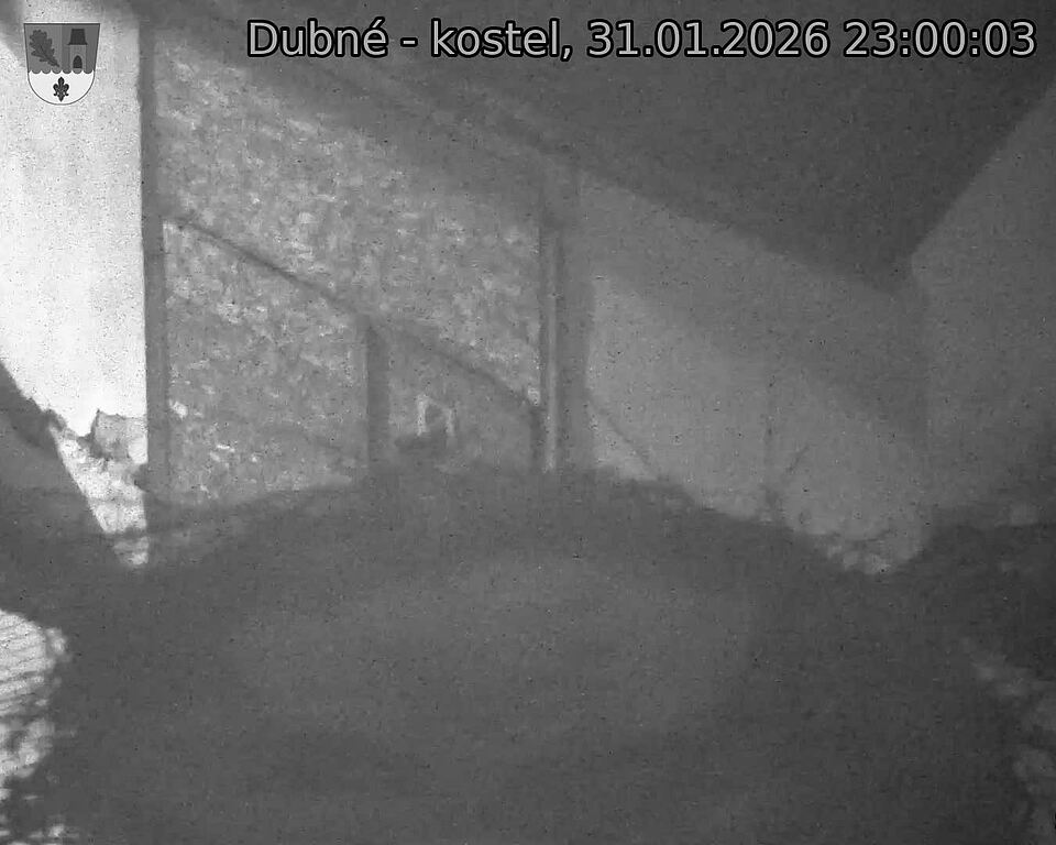 Capi_Dubne_20260131_230003.jpg (1350&nbsp;x&nbsp;1080)