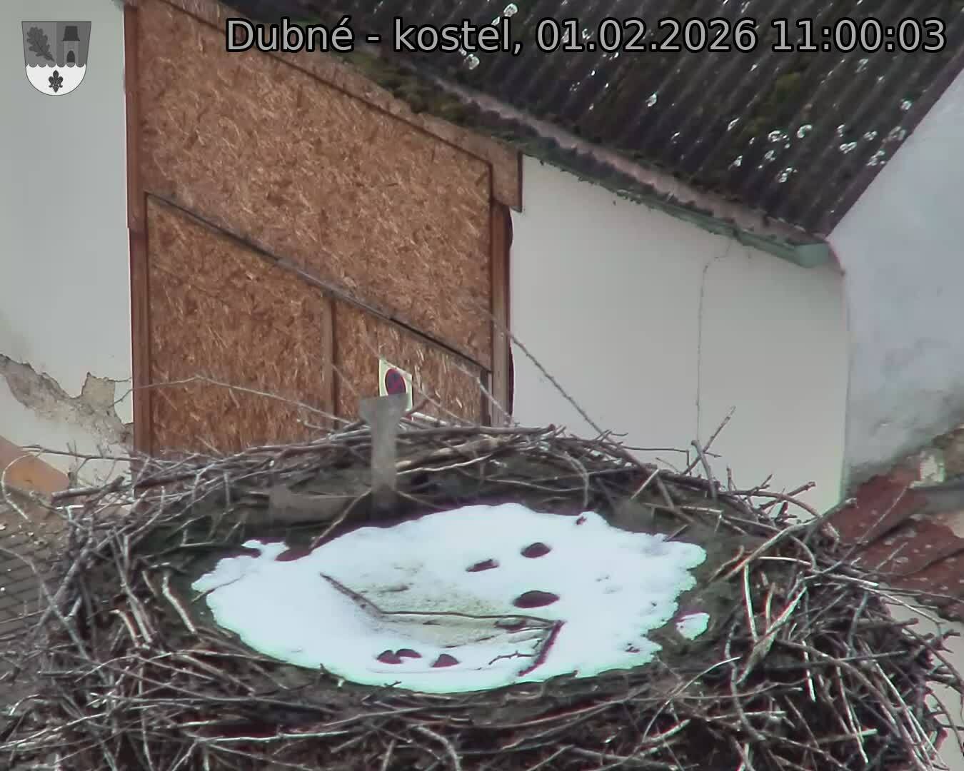 Capi_Dubne_20260201_110003.jpg (1350&nbsp;x&nbsp;1080)