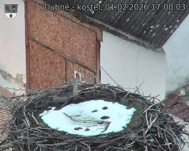 Capi_Dubne_20260201_170003.jpg (1350&nbsp;x&nbsp;1080)