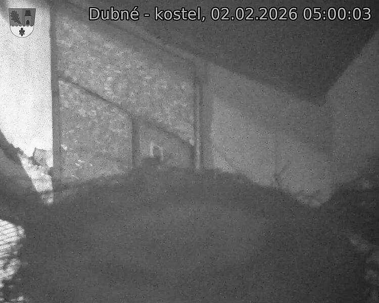 Capi_Dubne_20260202_050003.jpg (1350&nbsp;x&nbsp;1080)